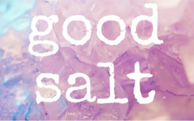 Good Salt Podcast – Conversation with Lulu Schwall